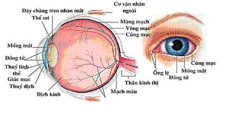 Quang học cơ bản